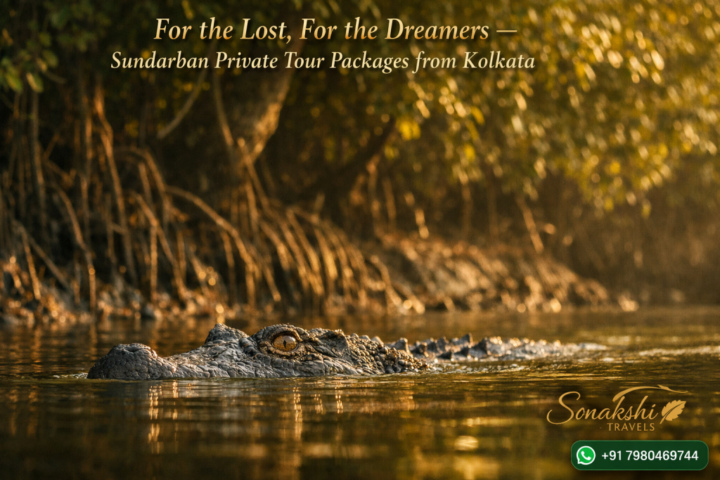 For the Lost, For the Dreamers — Sundarban Private Tour Packages from Kolkata
