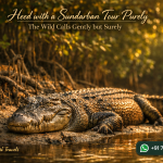 Heed with a Sundarban Tour Purely The Wild Calls Gently but Surely