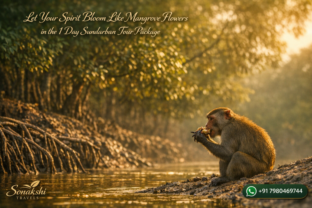 Let Your Spirit Bloom Like Mangrove Flowers in the 1 Day Sundarban Tour Package