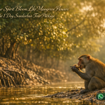Let Your Spirit Bloom Like Mangrove Flowers in the 1 Day Sundarban Tour Package