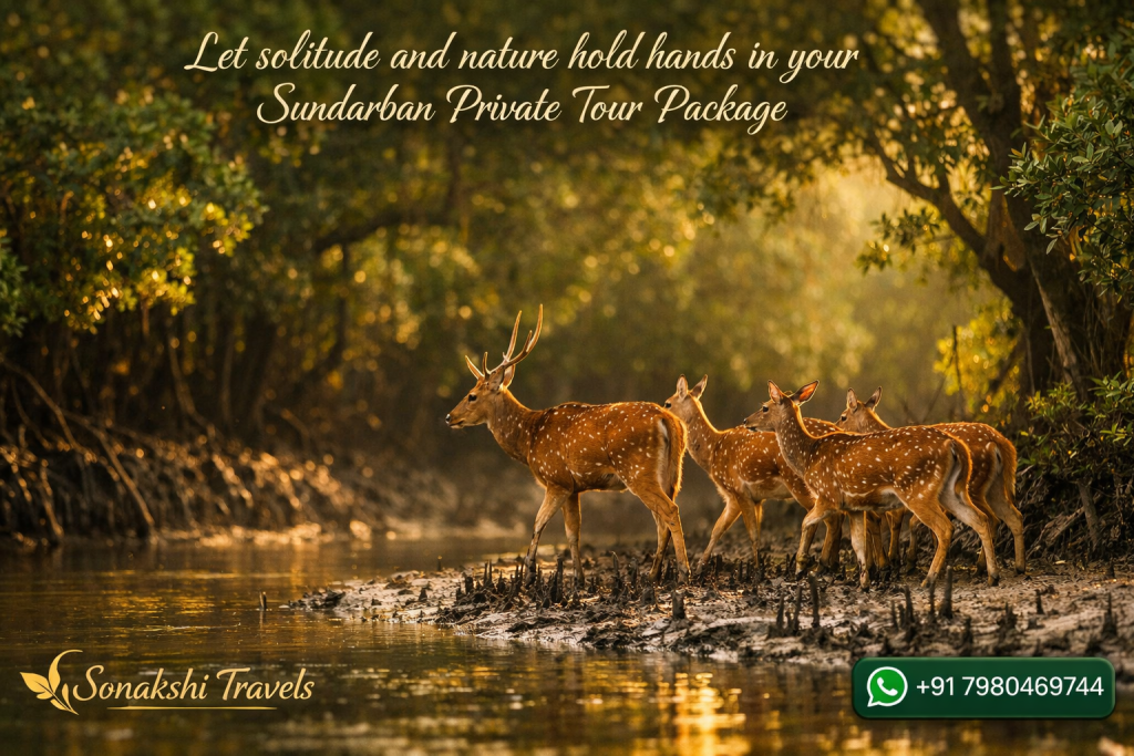 Let solitude and nature hold hands in your Sundarban Private Tour Package