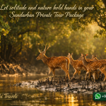 Let solitude and nature hold hands in your Sundarban Private Tour Package
