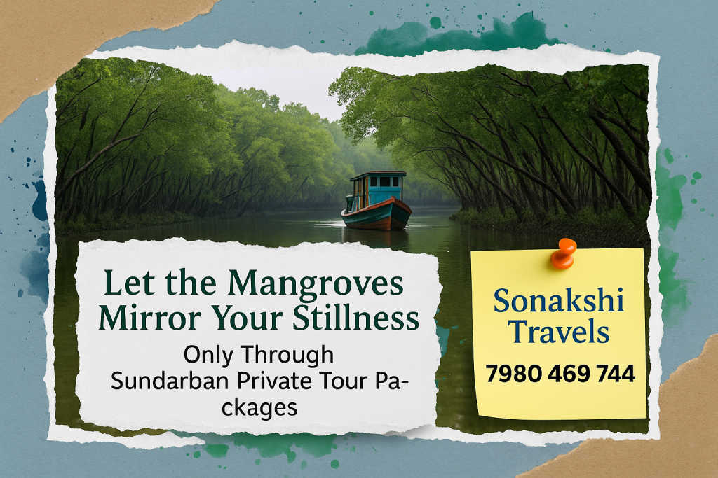 Let the Mangroves Mirror Your Stillness