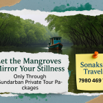 Let the Mangroves Mirror Your Stillness