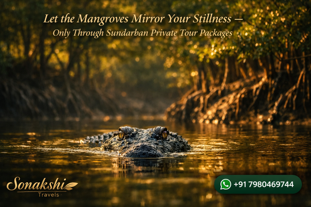 Let the Mangroves Mirror Your Stillness — Only Through Sundarban Private Tour Packages