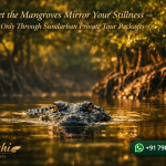 Let the Mangroves Mirror Your Stillness — Only Through Sundarban Private Tour Packages