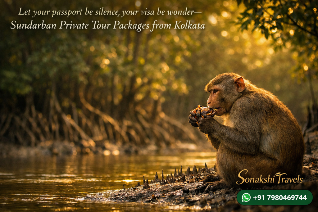 Let your passport be silence, your visa be wonder—Sundarban Private Tour Packages from Kolkata