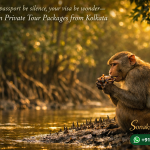 Let your passport be silence, your visa be wonder—Sundarban Private Tour Packages from Kolkata