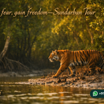 Lose fear, gain freedom—Sundarban Tour