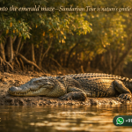 Step into the emerald maze—Sundarban Tour is nature’s gentle embrace