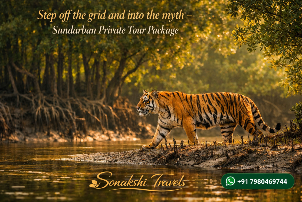Step off the grid and into the myth - Sundarban Private Tour Package