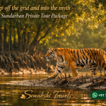 Step off the grid and into the myth - Sundarban Private Tour Package