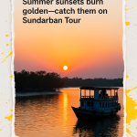 Summer sunsets burn golden