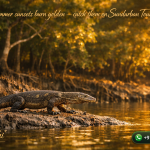 Summer sunsets burn golden — catch them on Sundarban Tour