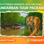 Sundarban Tour Package leaves you in awe