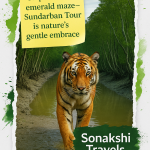 Sundarban Tour is nature’s gentle embrace