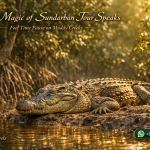 The Magic of Sundarban Tour Speaks — Feel Time Pause on Muddy Creeks