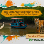 The Magic of Sundarban Tour Speaks