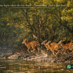 The journey begins where the river bends - Sundarban Tour is that bend