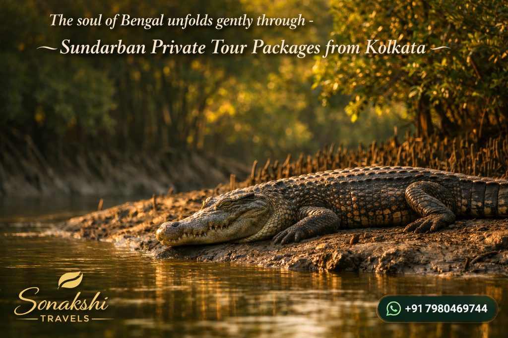 The soul of Bengal unfolds gently through - Sundarban Private Tour Packages from Kolkata