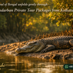 The soul of Bengal unfolds gently through - Sundarban Private Tour Packages from Kolkata