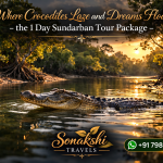 Where Crocodiles Laze and Dreams Float - the 1 Day Sundarban Tour Package