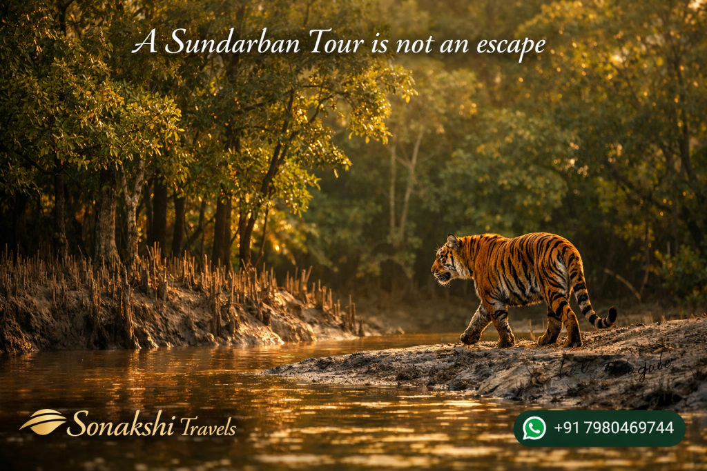 A Sundarban Tour is not an escape