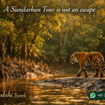 A Sundarban Tour is not an escape
