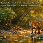 Lose Fear in the Forest, Gain Freedom in the Flow—Sundarban Tour Renews You