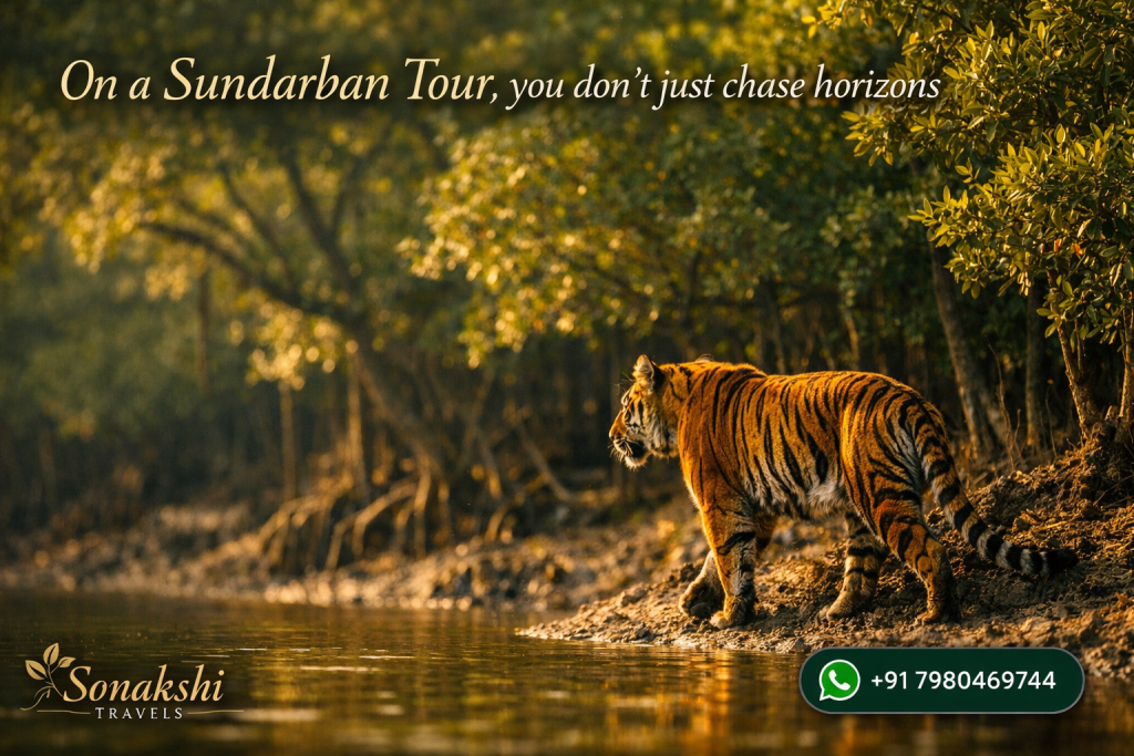 On a Sundarban Tour, you don’t just chase horizons