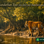 On a Sundarban Tour, you don’t just chase horizons