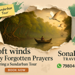 Soft Winds Carry Forgotten Prayers During a Sundarban Tour