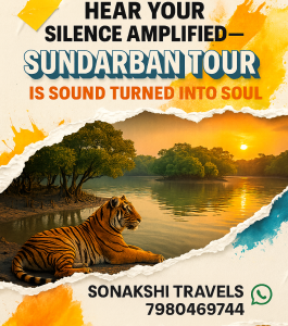Sundarban Tour Is Sound Turned Into Soul