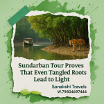 Sundarban Tour Proves That Even Tangled Roots Lead to Light
