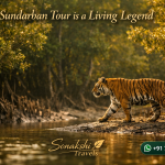 Sundarban Tour is a Living Legend