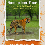 Sundarban Tour is where your childhood jungle dreams breathe again