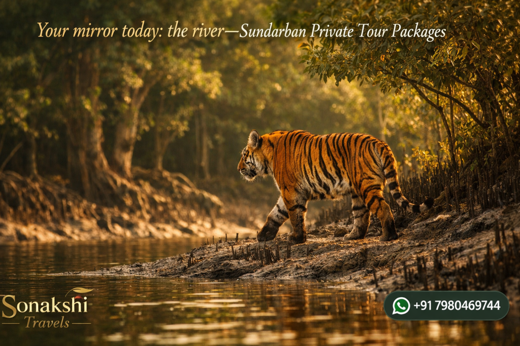 Your mirror today: the river—Sundarban Private Tour Packages