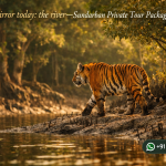 Your mirror today: the river—Sundarban Private Tour Packages