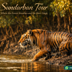 Sundarban Tour — Where the Forest Breathes and the River Sings