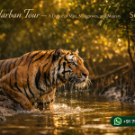 Sundarban Tour — A Dance of Mist, Mangroves, and Majesty