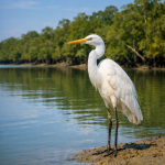 Sundarban Tour - Discover the Wild Soul of Eastern India