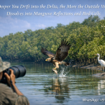 The Deeper You Drift into the Delta