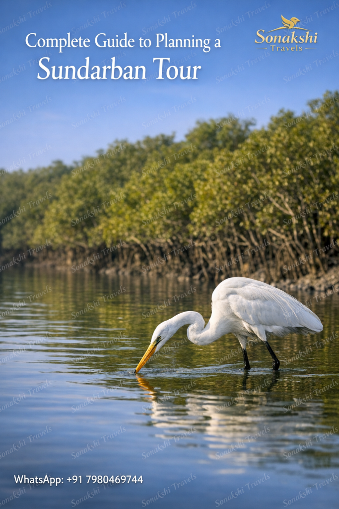 Complete Guide to Planning a Sundarban Tour