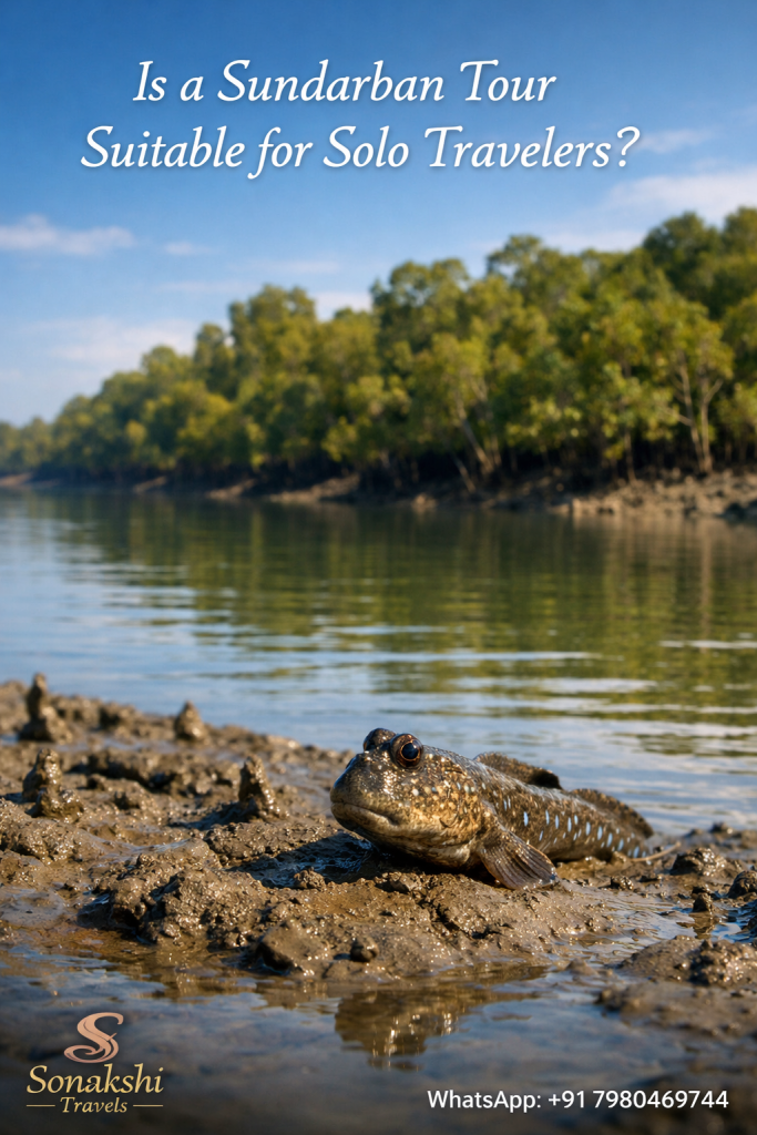 Is a Sundarban Tour Suitable for Solo Travelers