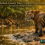 Sundarban Luxury Tour – A Refined Private Expedition Through the Mangrove Delta
