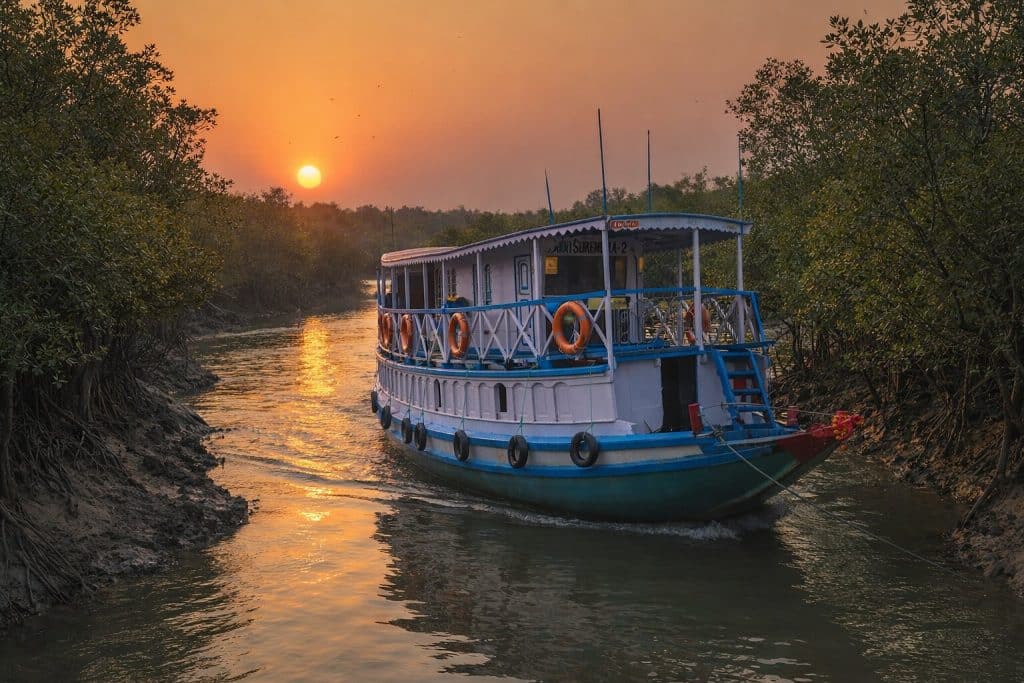 Boat safari in Sundarbans mangrove creeks