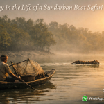 A Day in the Life of a Sundarban Boat Safari