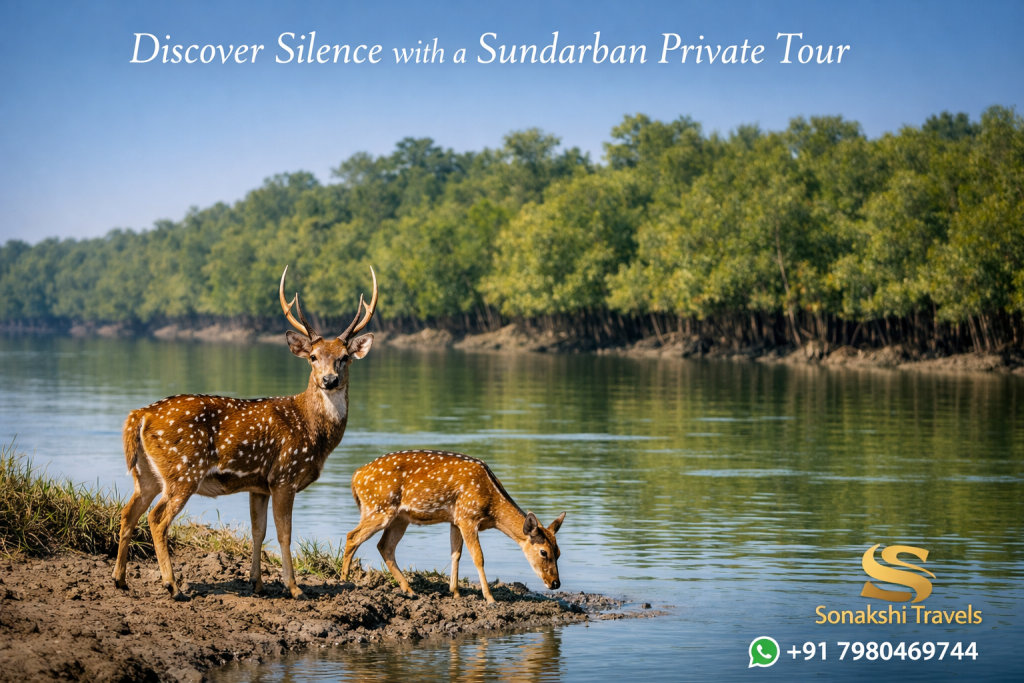 Discover Silence with a Sundarban Private Tour