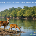 Discover Silence with a Sundarban Private Tour