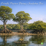 Eco-Friendly Practices During a Sundarban Tour